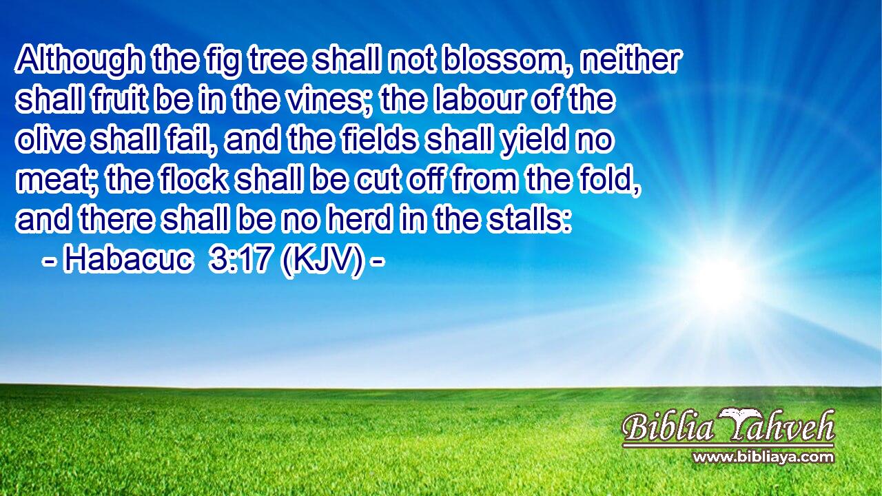 Although the fig tree shall not blossom, neither shall fruit be in the vines; the labour of the olive shall fail, and the fields shall yield no meat; the flock shall be cut off from the fold, and there shall be no herd in the stalls: