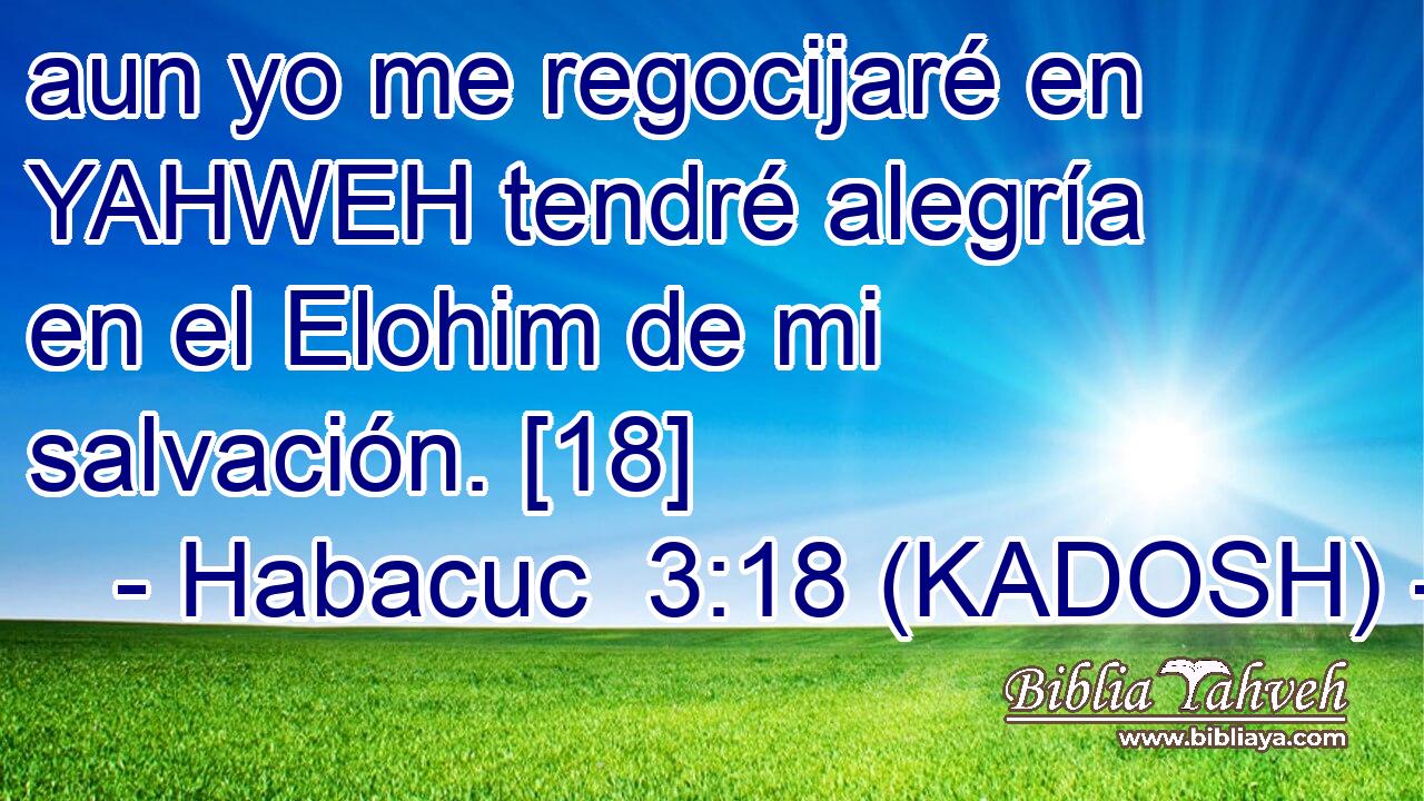  aun yo me regocijaré en YAHWEH tendré alegría en el Elohim de mi salvación. [18] 