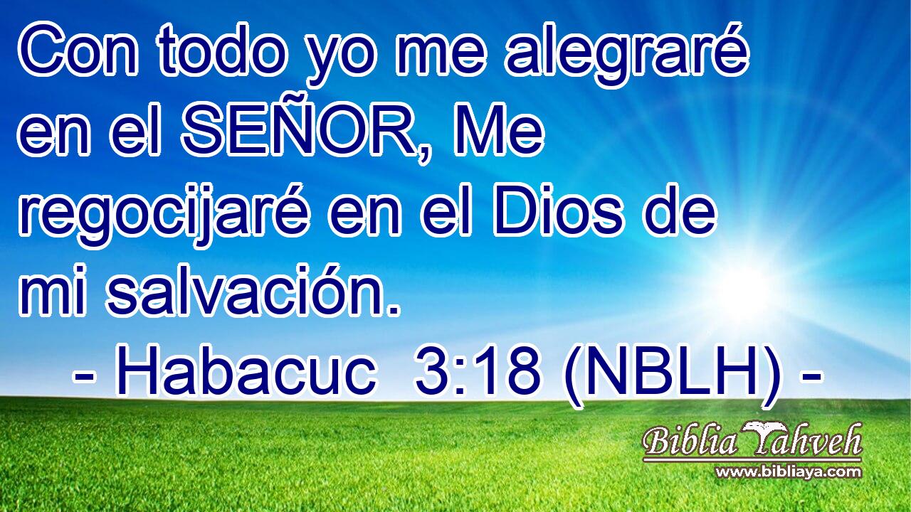  Con todo yo me alegraré en el SEÑOR, Me regocijaré en el Dios de mi salvación. 