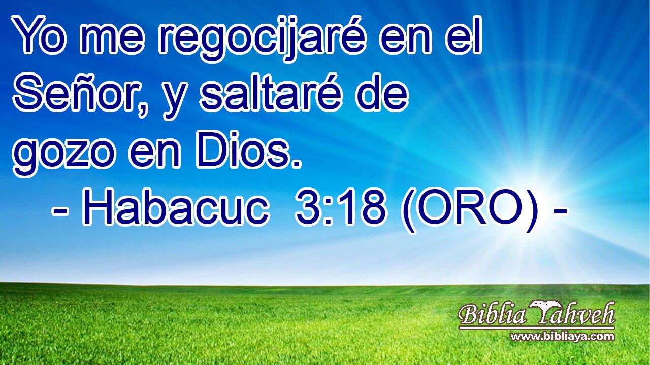  Yo me regocijaré en el Señor, y saltaré de gozo en Dios. 