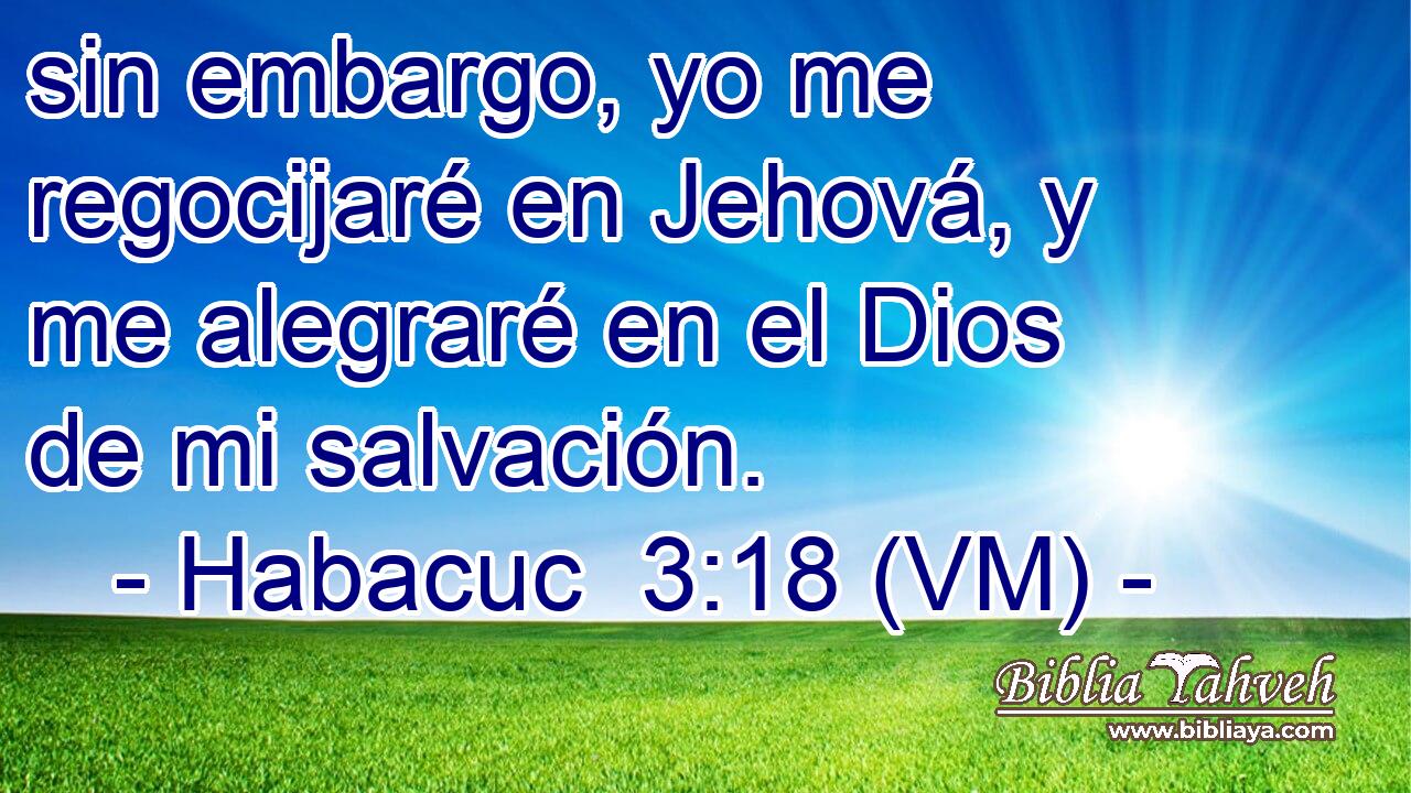  sin embargo, yo me regocijaré en Jehová, y me alegraré en el Dios de mi salvación. 