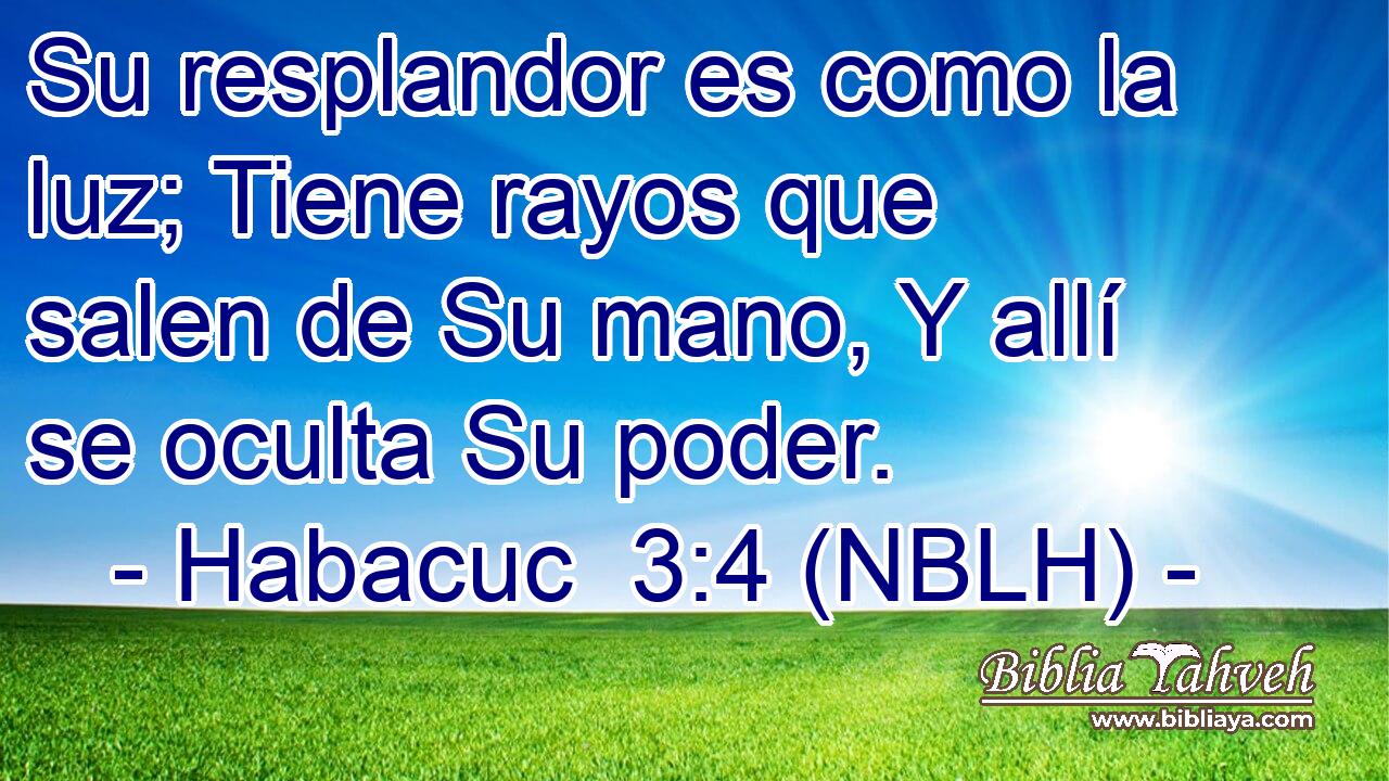  Su resplandor es como la luz; Tiene rayos que salen de Su mano, Y allí se oculta Su poder. 