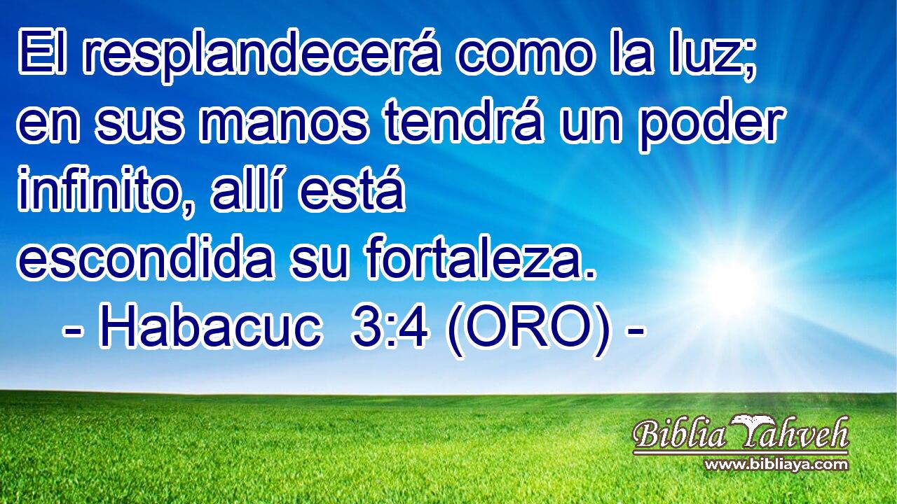  El resplandecerá como la luz; en sus manos tendrá un poder infinito, allí está escondida su fortaleza. 