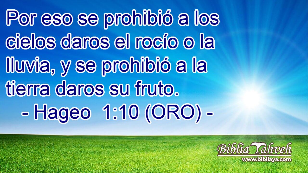  Por eso se prohibió a los cielos daros el rocío o la lluvia, y se prohibió a la tierra daros su fruto. 