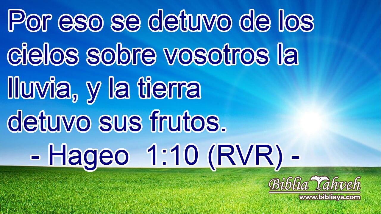 Por eso se detuvo de los cielos sobre vosotros la lluvia, y la tierra detuvo sus frutos.