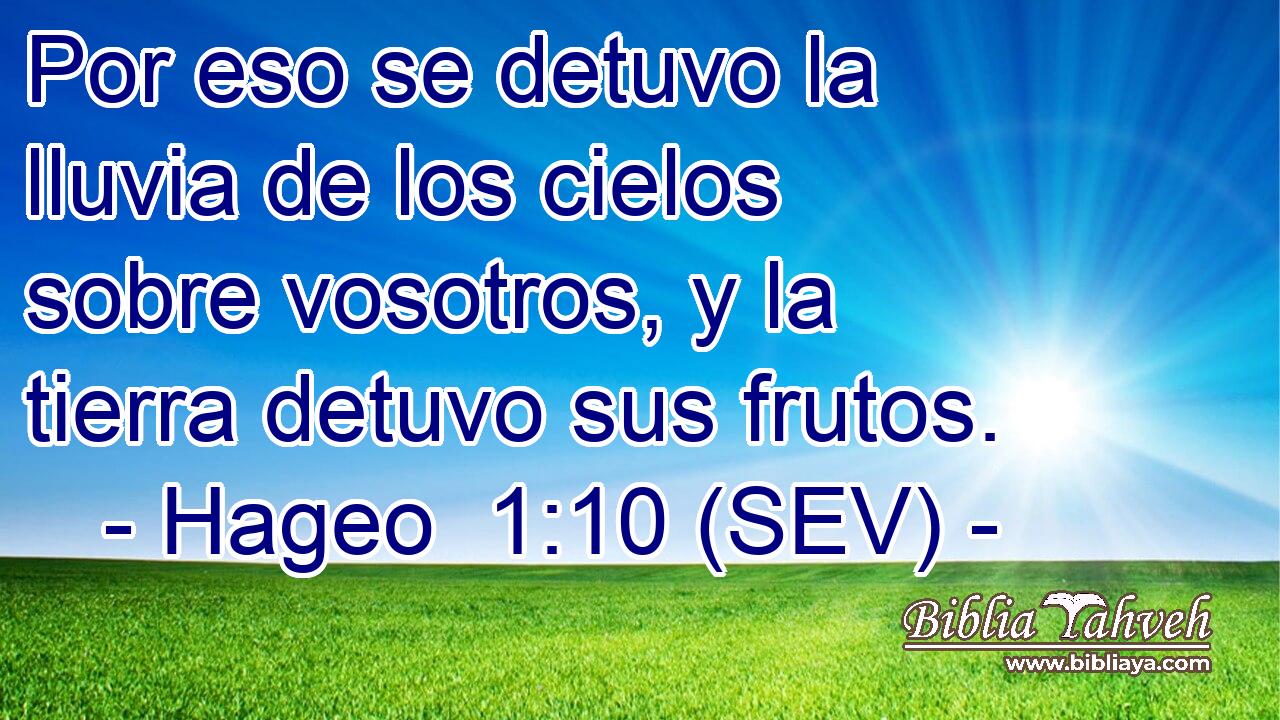 Por eso se detuvo la lluvia de los cielos sobre vosotros, y la tierra detuvo sus frutos.