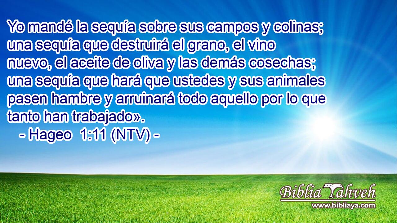 Yo mandé la sequía sobre sus campos y colinas; una sequía que destruirá el grano, el vino nuevo, el aceite de oliva y las demás cosechas; una sequía que hará que ustedes y sus animales pasen hambre y arruinará todo aquello por lo que tanto han trabajado».