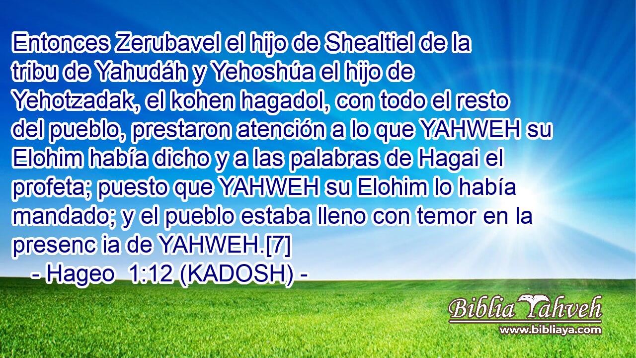  Entonces Zerubavel el hijo de Shealtiel de la tribu de Yahudáh y Yehoshúa el hijo de Yehotzadak, el kohen hagadol, con todo el resto del pueblo, prestaron atención a lo que YAHWEH su Elohim había dicho y a las palabras de Hagai el profeta; puesto que YAHWEH su Elohim lo había mandado; y el pueblo estaba lleno con temor en la presenc ia de YAHWEH.[7] 