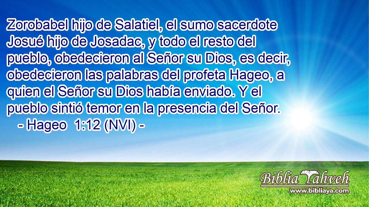  Zorobabel hijo de Salatiel, el sumo sacerdote Josué hijo de Josadac, y todo el resto del pueblo, obedecieron al Señor su Dios, es decir, obedecieron las palabras del profeta Hageo, a quien el Señor su Dios había enviado. Y el pueblo sintió temor en la presencia del Señor. 