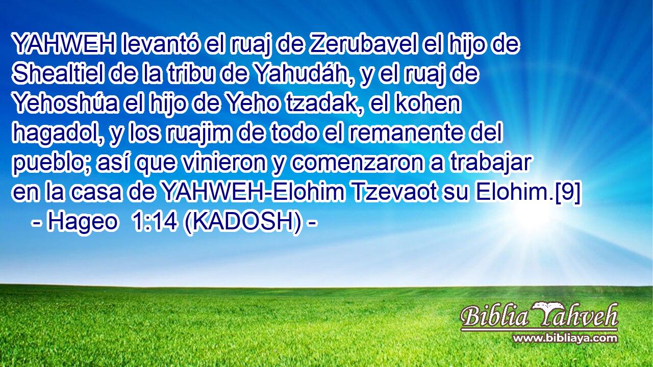  YAHWEH levantó el ruaj de Zerubavel el hijo de Shealtiel de la tribu de Yahudáh, y el ruaj de Yehoshúa el hijo de Yeho tzadak, el kohen hagadol, y los ruajim de todo el remanente del pueblo; así que vinieron y comenzaron a trabajar en la casa de YAHWEH-Elohim Tzevaot su Elohim.[9] 