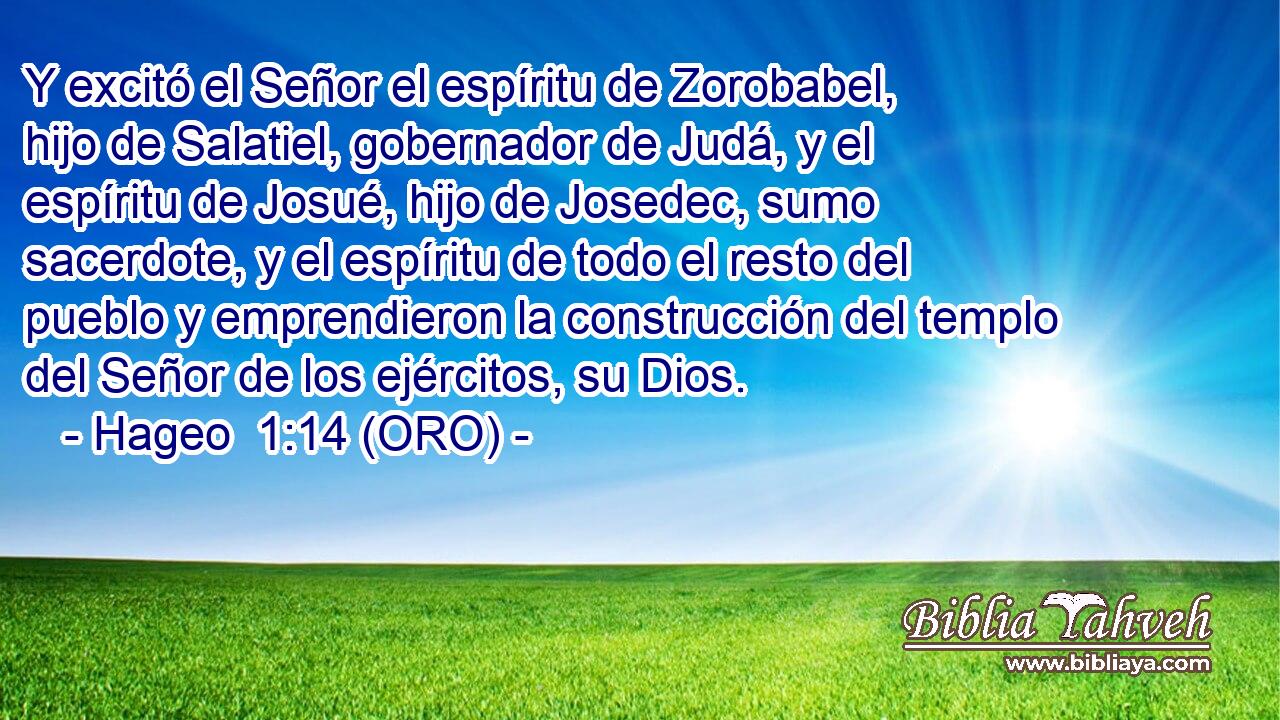  Y excitó el Señor el espíritu de Zorobabel, hijo de Salatiel, gobernador de Judá, y el espíritu de Josué, hijo de Josedec, sumo sacerdote, y el espíritu de todo el resto del pueblo y emprendieron la construcción del templo del Señor de los ejércitos, su Dios. 