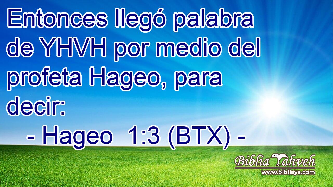 Entonces llegó palabra de YHVH por medio del profeta Hageo, para decir: