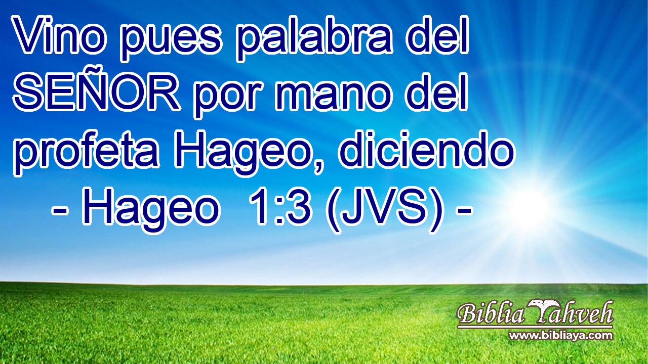 Vino pues palabra del SEÑOR por mano del profeta Hageo, diciendo