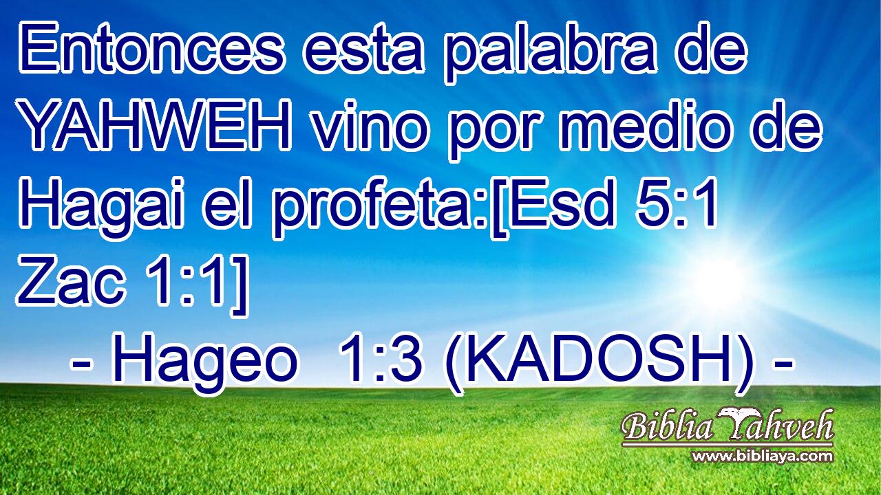  Entonces esta palabra de YAHWEH vino por medio de Hagai el profeta:[Esd 5:1 Zac 1:1] 