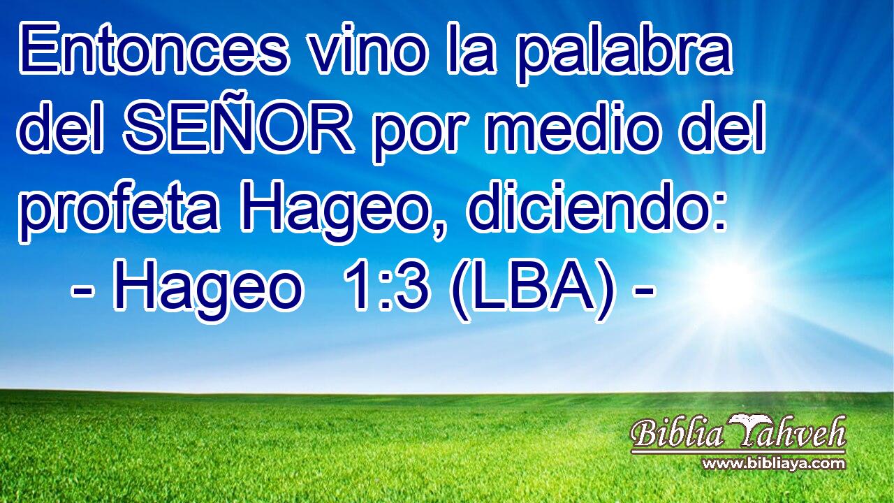Entonces vino la palabra del SEÑOR por medio del profeta Hageo, diciendo: