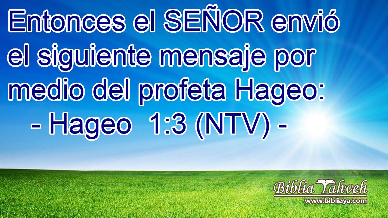 Entonces el SEÑOR envió el siguiente mensaje por medio del profeta Hageo: