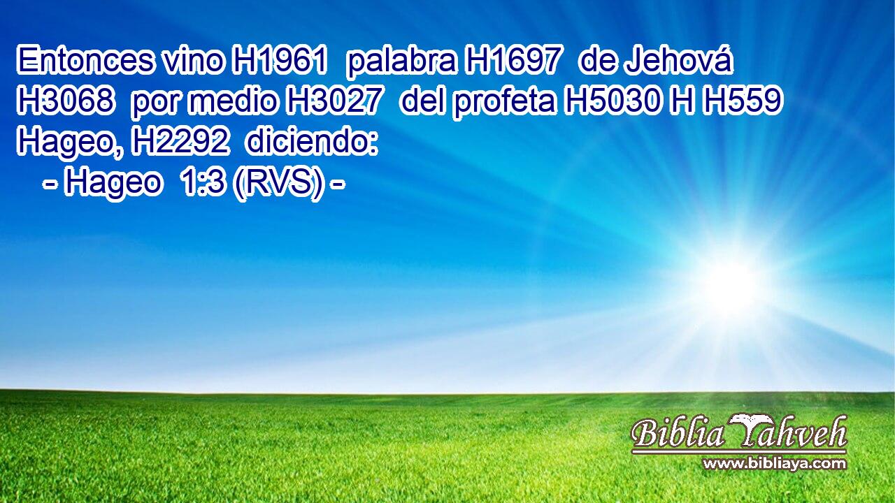 Entonces vino H1961  palabra H1697  de Jehová H3068  por medio H3027  del profeta H5030 H H559 Hageo, H2292  diciendo: 