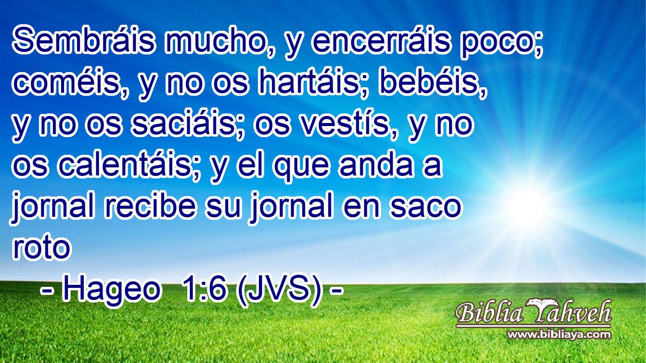 Sembráis mucho, y encerráis poco; coméis, y no os hartáis; bebéis, y no os saciáis; os vestís, y no os calentáis; y el que anda a jornal recibe su jornal en saco roto