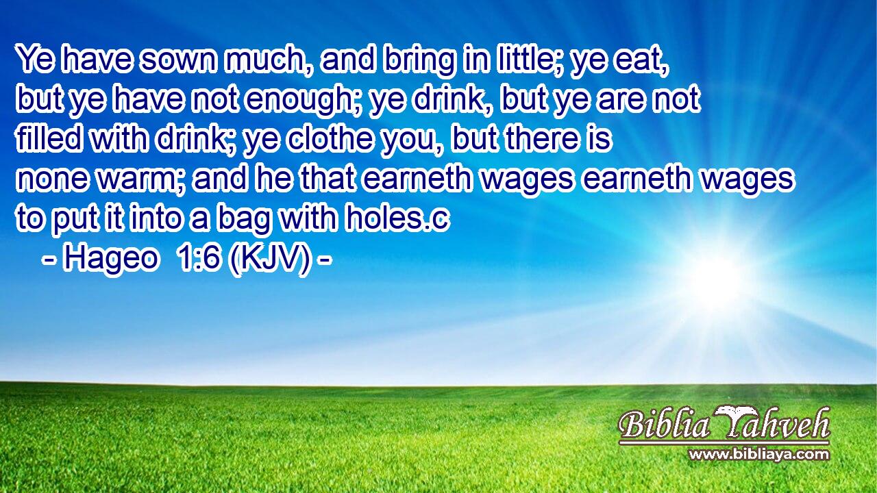 Ye have sown much, and bring in little; ye eat, but ye have not enough; ye drink, but ye are not filled with drink; ye clothe you, but there is none warm; and he that earneth wages earneth wages to put it into a bag with holes.c