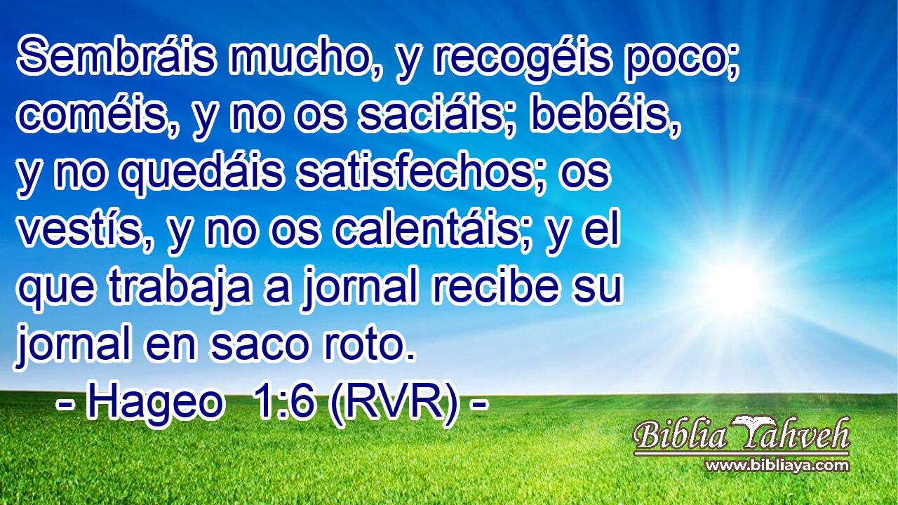Sembráis mucho, y recogéis poco; coméis, y no os saciáis; bebéis, y no quedáis satisfechos; os vestís, y no os calentáis; y el que trabaja a jornal recibe su jornal en saco roto.