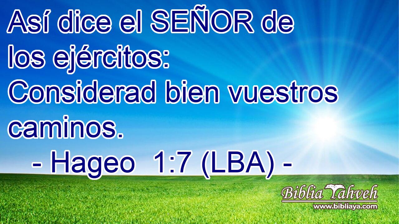 Así dice el SEÑOR de los ejércitos: Considerad bien vuestros caminos.