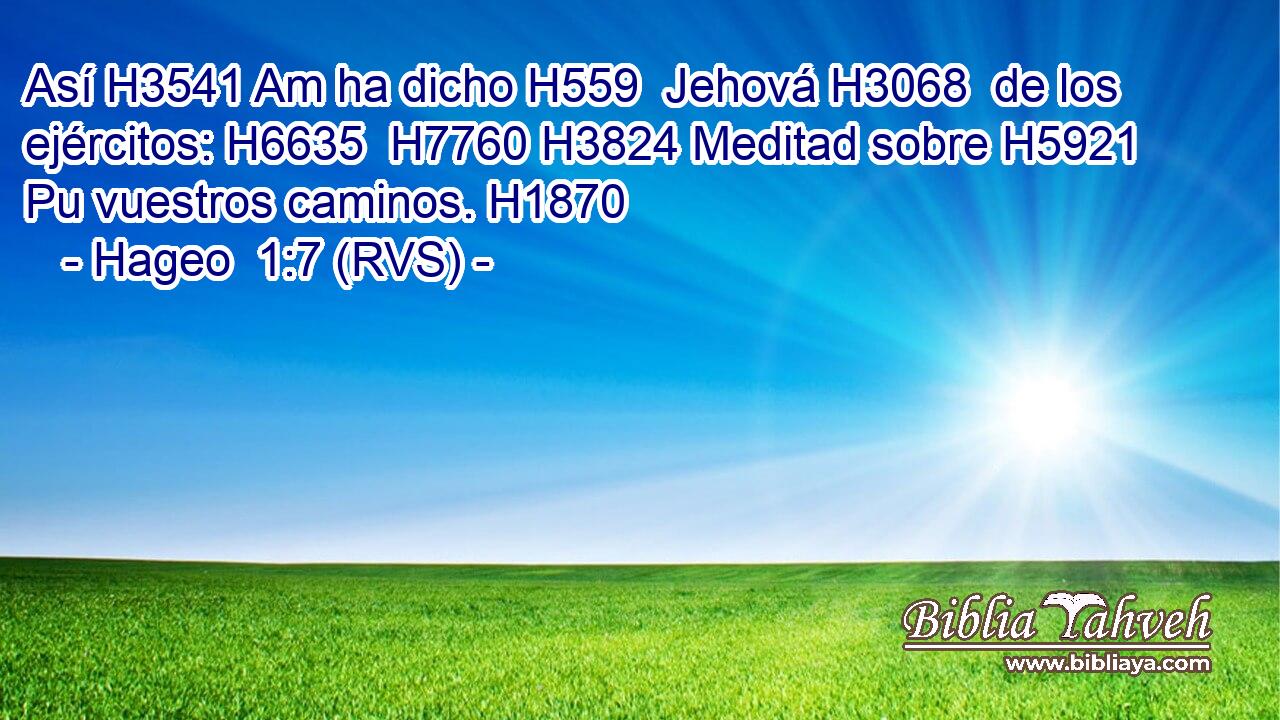 Así H3541 Am ha dicho H559  Jehová H3068  de los ejércitos: H6635  H7760 H3824 Meditad sobre H5921 Pu vuestros caminos. H1870  