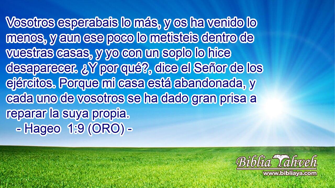  Vosotros esperabais lo más, y os ha venido lo menos, y aun ese poco lo metisteis dentro de vuestras casas, y yo con un soplo lo hice desaparecer. ¿Y por qué?, dice el Señor de los ejércitos. Porque mi casa está abandonada, y cada uno de vosotros se ha dado gran prisa a reparar la suya propia. 