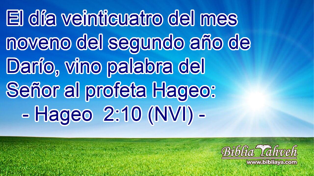  El día veinticuatro del mes noveno del segundo año de Darío, vino palabra del Señor al profeta Hageo: 