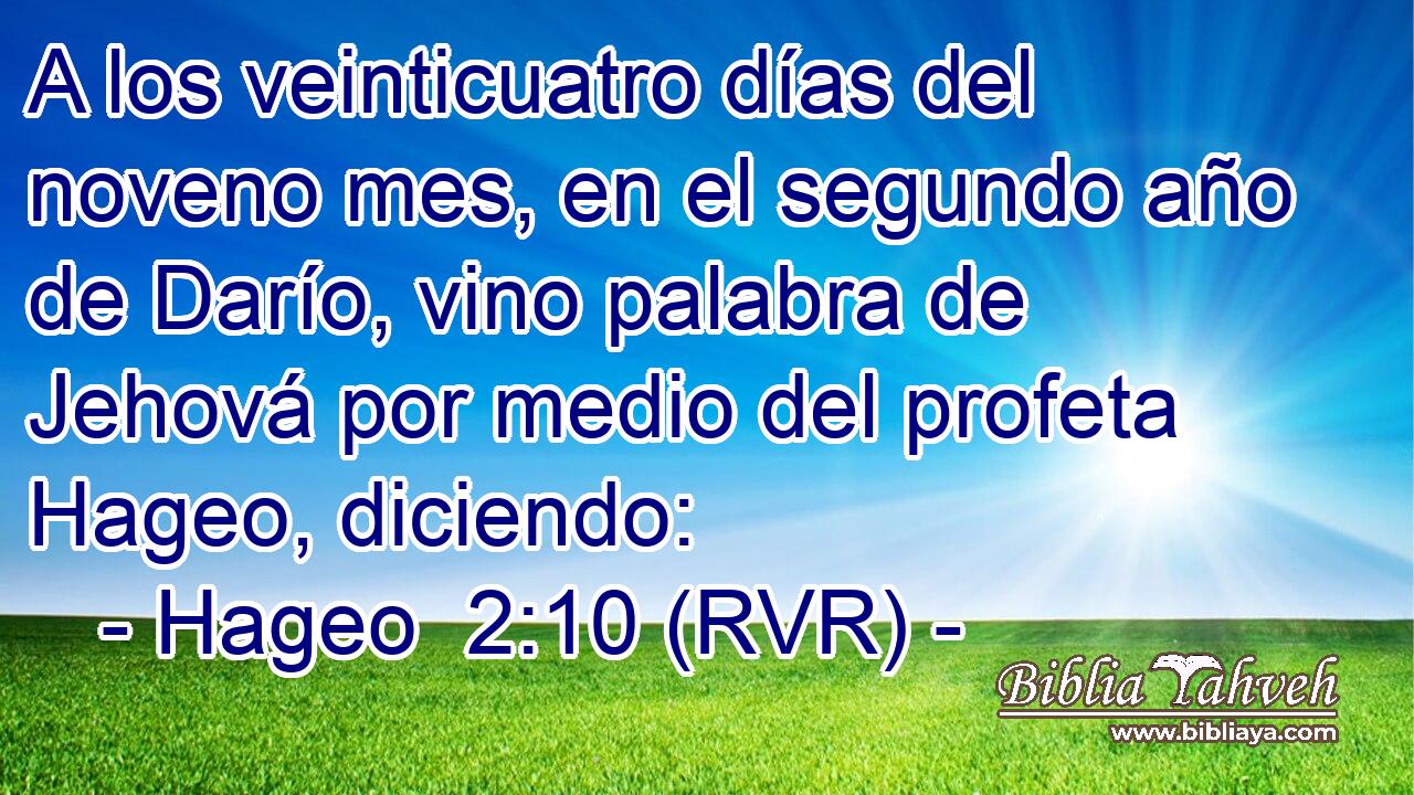 A los veinticuatro días del noveno mes, en el segundo año de Darío, vino palabra de Jehová por medio del profeta Hageo, diciendo: