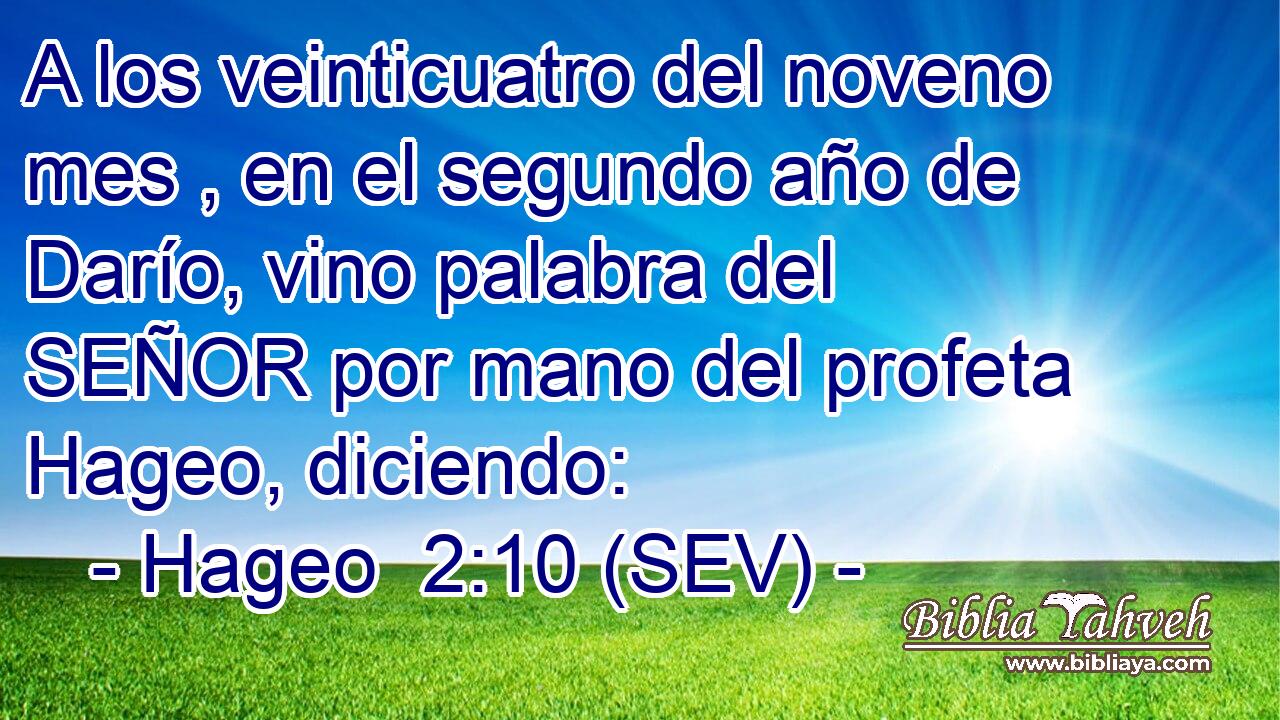 A los veinticuatro del noveno mes , en el segundo año de Darío, vino palabra del SEÑOR por mano del profeta Hageo, diciendo: