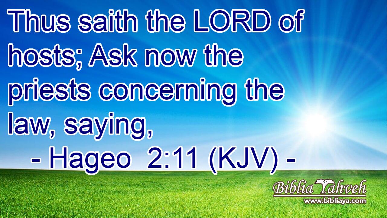 Thus saith the LORD of hosts; Ask now the priests concerning the law, saying,