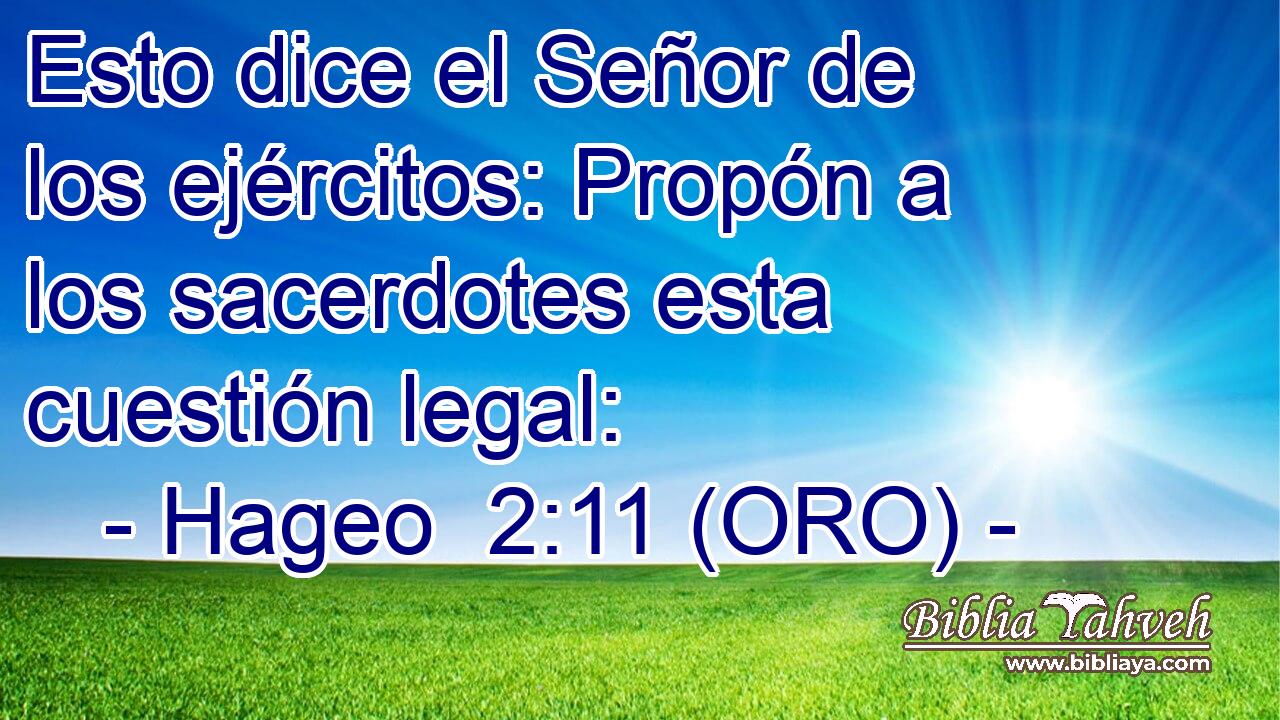  Esto dice el Señor de los ejércitos: Propón a los sacerdotes esta cuestión legal: 