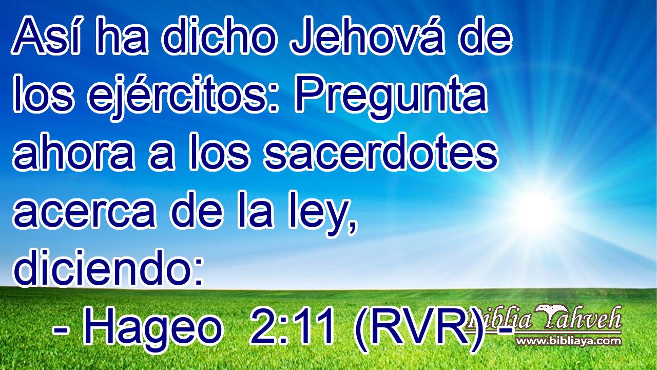 Así ha dicho Jehová de los ejércitos: Pregunta ahora a los sacerdotes acerca de la ley, diciendo:
