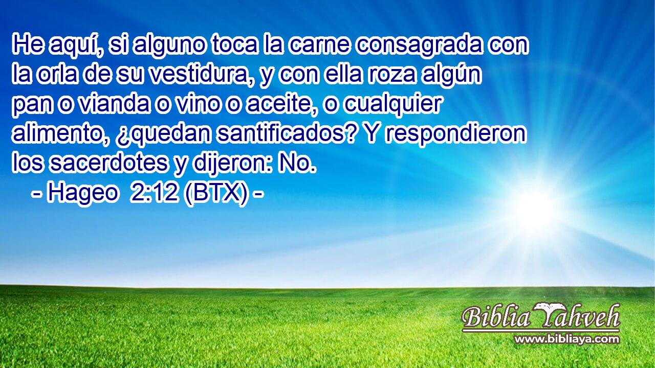 He aquí, si alguno toca la carne consagrada con la orla de su vestidura, y con ella roza algún pan o vianda o vino o aceite, o cualquier alimento, ¿quedan santificados? Y respondieron los sacerdotes y dijeron: No.