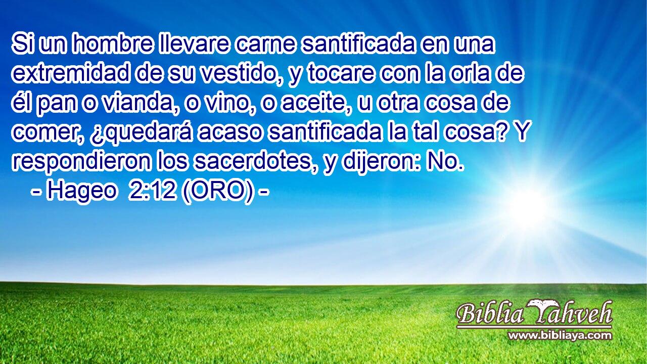  Si un hombre llevare carne santificada en una extremidad de su vestido, y tocare con la orla de él pan o vianda, o vino, o aceite, u otra cosa de comer, ¿quedará acaso santificada la tal cosa? Y respondieron los sacerdotes, y dijeron: No. 