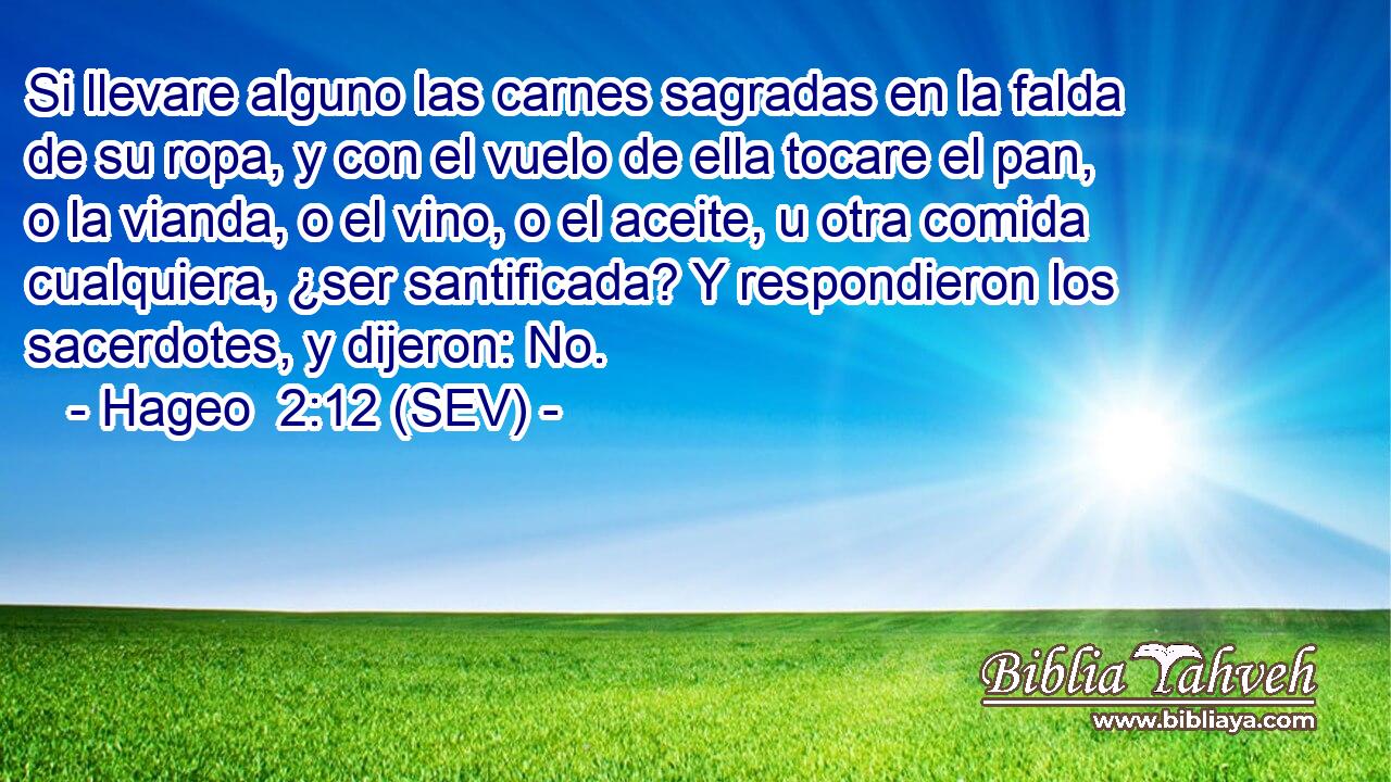 Si llevare alguno las carnes sagradas en la falda de su ropa, y con el vuelo de ella tocare el pan, o la vianda, o el vino, o el aceite, u otra comida cualquiera, ¿ser santificada? Y respondieron los sacerdotes, y dijeron: No.