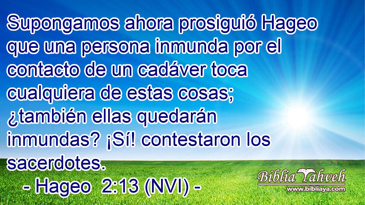  Supongamos ahora prosiguió Hageo que una persona inmunda por el contacto de un cadáver toca cualquiera de estas cosas; ¿también ellas quedarán inmundas? ¡Sí! contestaron los sacerdotes. 
