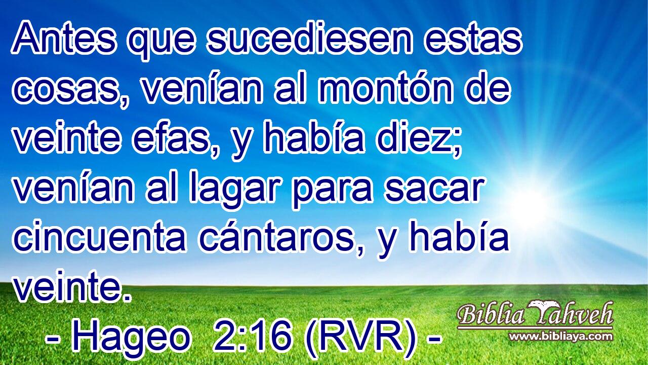 Antes que sucediesen estas cosas, venían al montón de veinte efas, y había diez; venían al lagar para sacar cincuenta cántaros, y había veinte.