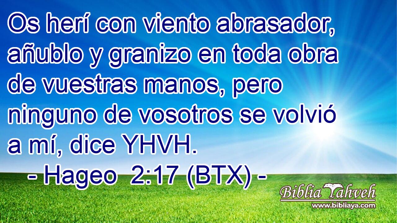 Os herí con viento abrasador, añublo y granizo en toda obra de vuestras manos, pero ninguno de vosotros se volvió a mí, dice YHVH.