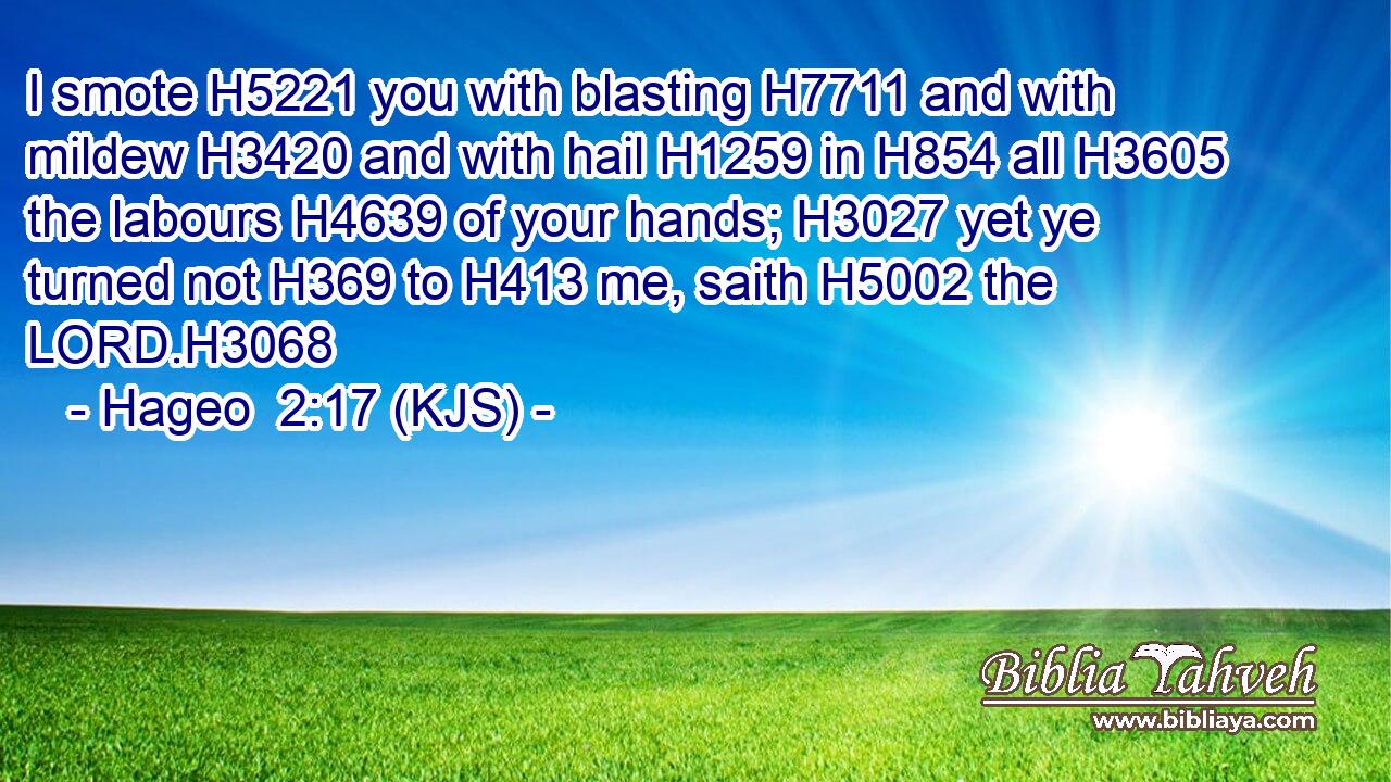 I smote H5221 you with blasting H7711 and with mildew H3420 and with hail H1259 in H854 all H3605 the labours H4639 of your hands; H3027 yet ye turned not H369 to H413 me, saith H5002 the LORD.H3068