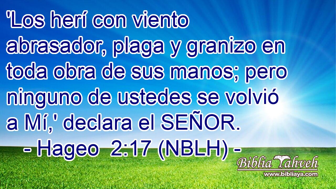  'Los herí con viento abrasador, plaga y granizo en toda obra de sus manos; pero ninguno de ustedes se volvió a Mí,' declara el SEÑOR. 