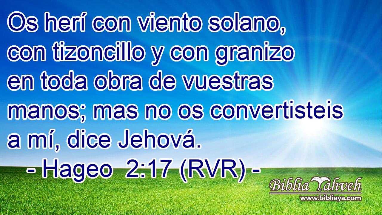 Os herí con viento solano, con tizoncillo y con granizo en toda obra de vuestras manos; mas no os convertisteis a mí, dice Jehová.