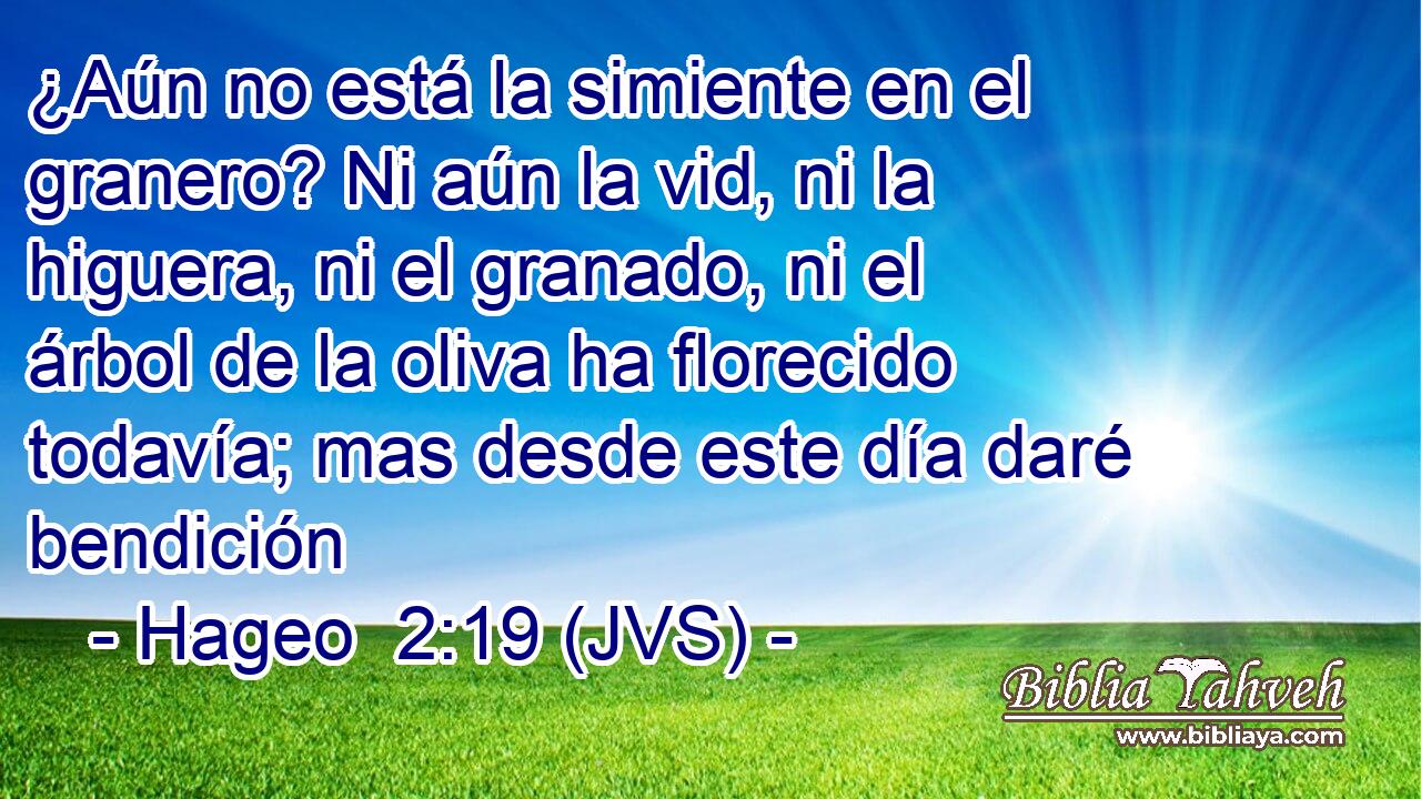 ¿Aún no está la simiente en el granero? Ni aún la vid, ni la higuera, ni el granado, ni el árbol de la oliva ha florecido todavía; mas desde este día daré bendición