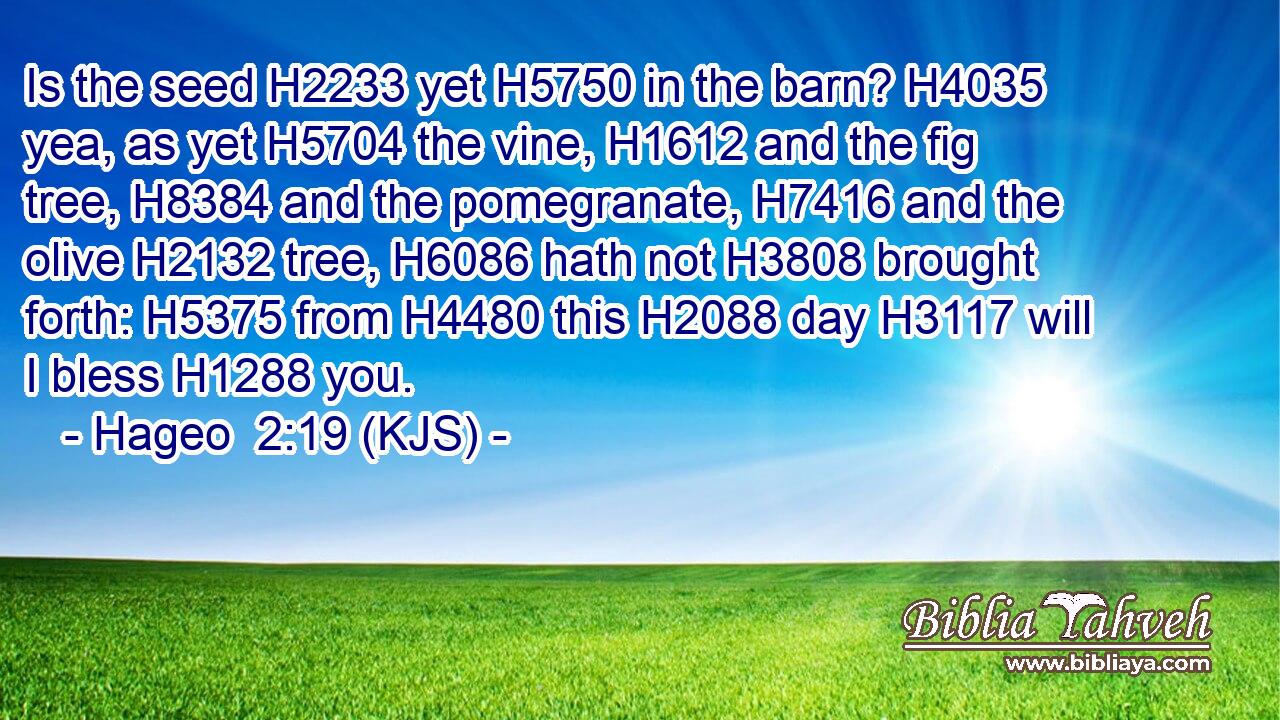 Is the seed H2233 yet H5750 in the barn? H4035 yea, as yet H5704 the vine, H1612 and the fig tree, H8384 and the pomegranate, H7416 and the olive H2132 tree, H6086 hath not H3808 brought forth: H5375 from H4480 this H2088 day H3117 will I bless H1288 you.