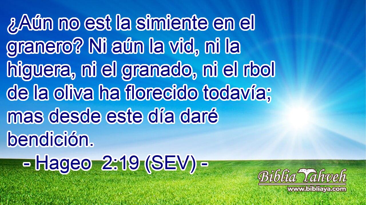 ¿Aún no est la simiente en el granero? Ni aún la vid, ni la higuera, ni el granado, ni el rbol de la oliva ha florecido todavía; mas desde este día daré bendición.