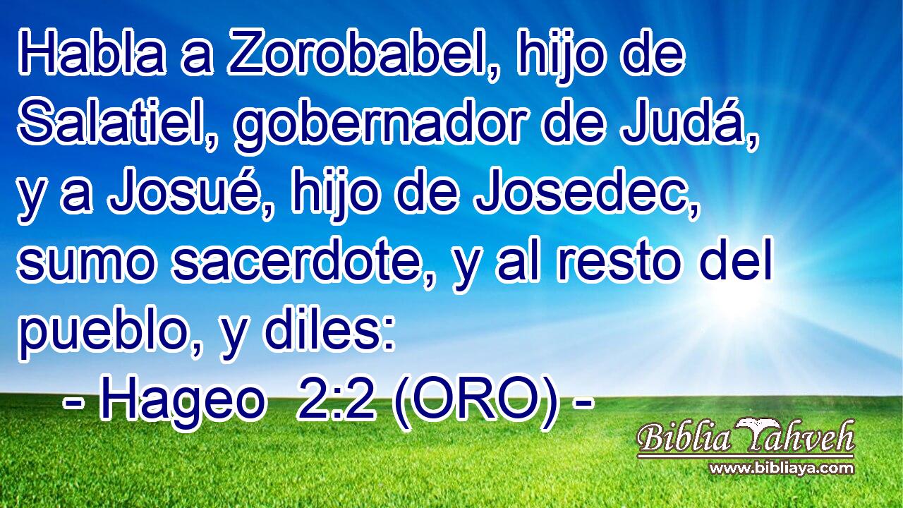  Habla a Zorobabel, hijo de Salatiel, gobernador de Judá, y a Josué, hijo de Josedec, sumo sacerdote, y al resto del pueblo, y diles: 
