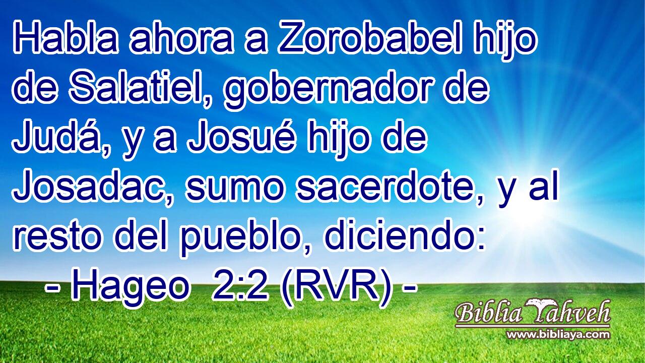 Habla ahora a Zorobabel hijo de Salatiel, gobernador de Judá, y a Josué hijo de Josadac, sumo sacerdote, y al resto del pueblo, diciendo: