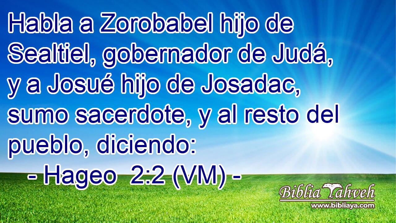  Habla a Zorobabel hijo de Sealtiel, gobernador de Judá, y a Josué hijo de Josadac, sumo sacerdote, y al resto del pueblo, diciendo: 
