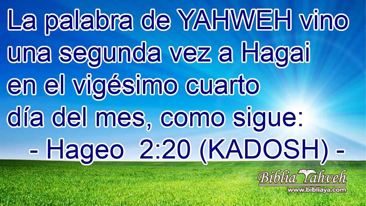  La palabra de YAHWEH vino una segunda vez a Hagai en el vigésimo cuarto día del mes, como sigue: 