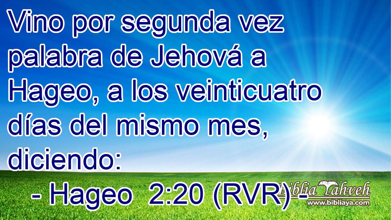 Vino por segunda vez palabra de Jehová a Hageo, a los veinticuatro días del mismo mes, diciendo: